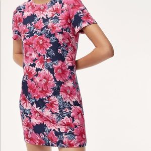 Babaton Patricio Dress